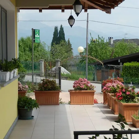 Bb Orchidea ستريزا