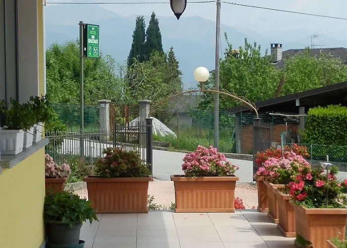 Bb Orchidea 스트레사